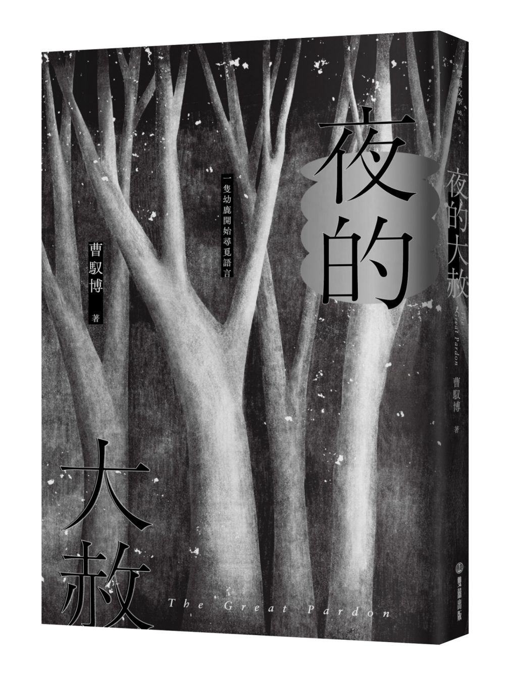 《夜的大赦》